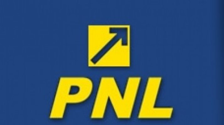 PNL Constanţa, despre decizia CCR: Nu se putea lua o decizie de importanţă majoră pentru România în absenţa unor cifre corecte